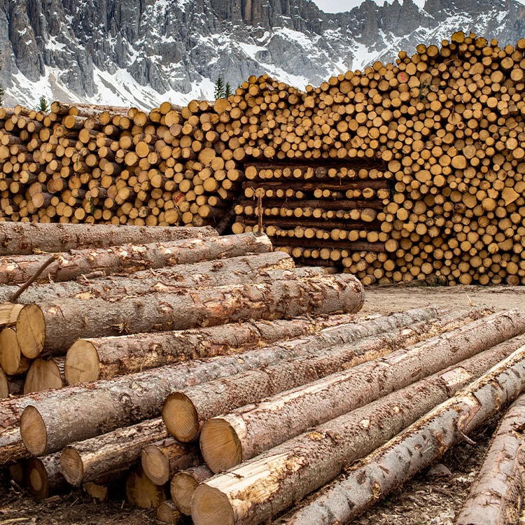 product-750-750 product-750-750